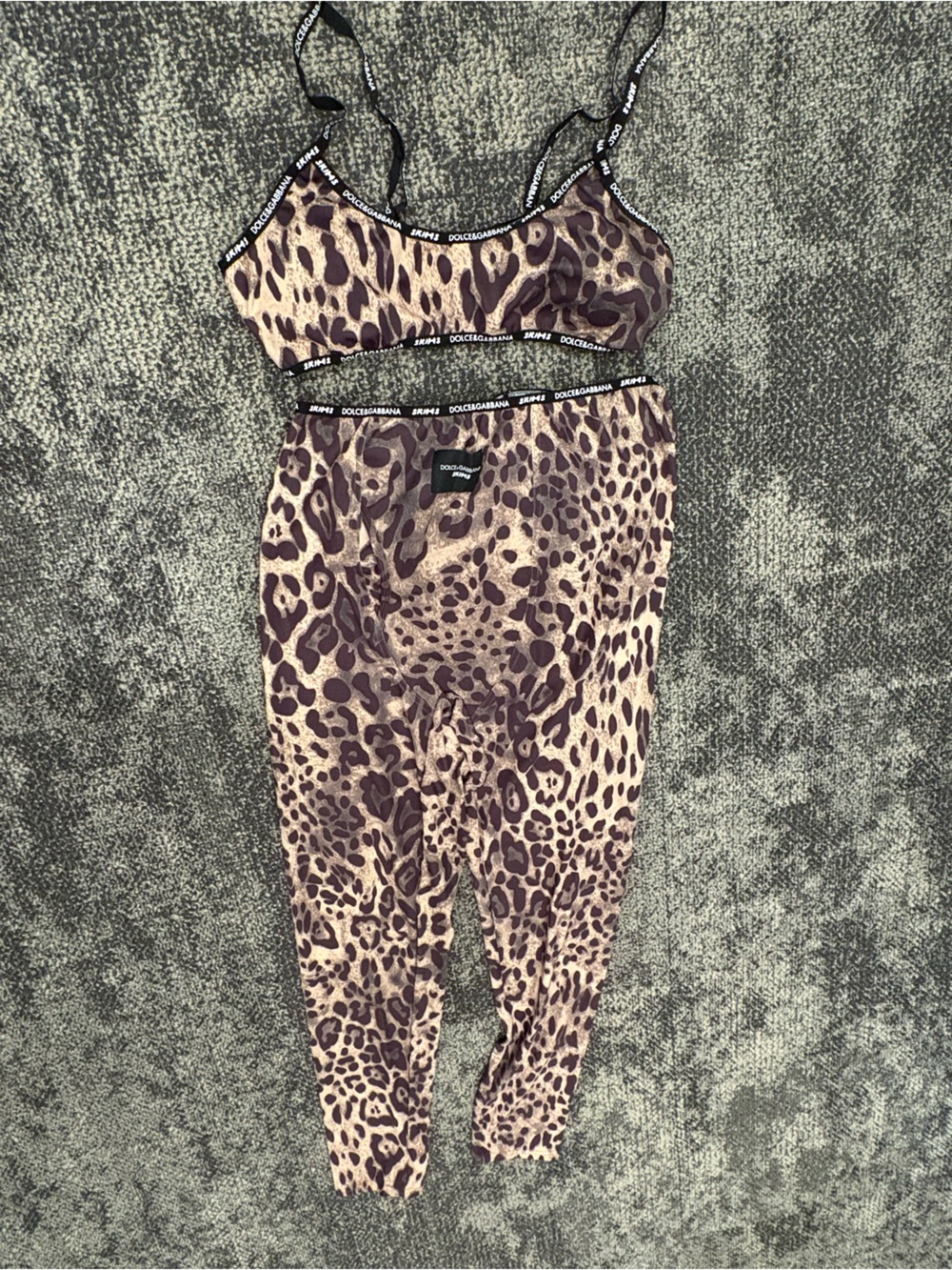 Dolce & Gabbana Leopard Print One-Piece in Brown and Black